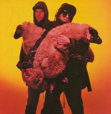 The KLF